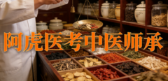 中医师承哪家机构性价比高?一位35岁转行学员的实操分享
